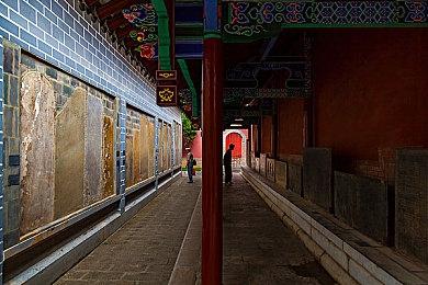 《古墓丽影》开发商水晶动力裁员10人 受母公司重组影响